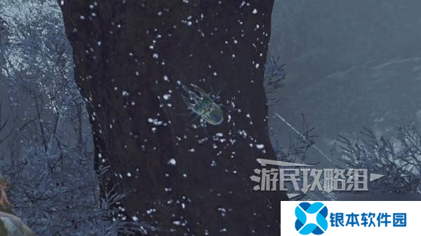 《怪物猎人荒野》虹色大独角仙位置及捕获方法 虹色大独角仙在哪抓