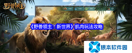 野兽领主新世界什么是肌肉玩法 野兽领主新世界肌肉玩法大全介绍2025