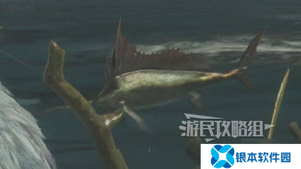《怪物猎人荒野》大王旗鱼的鳍获取方法及作用 大王旗鱼的鳍怎么获得