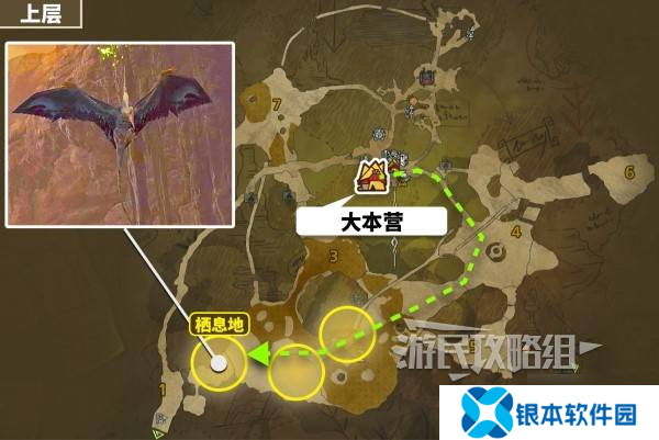 《怪物猎人荒野》翼龙的皮获取方法及作用 翼龙的皮怎么获得