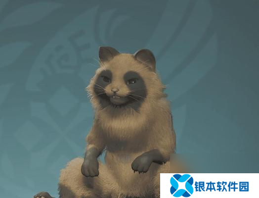 《怪物猎人荒野》古杯蟹在哪里？位置分享是什么？