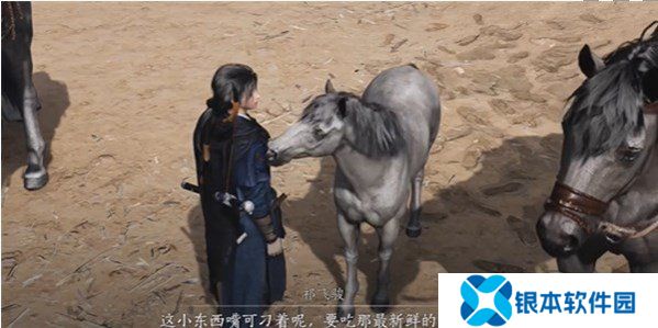 燕云十六声祁氏家驯任务怎么做 燕云十六声祁氏家驯任务攻略流程